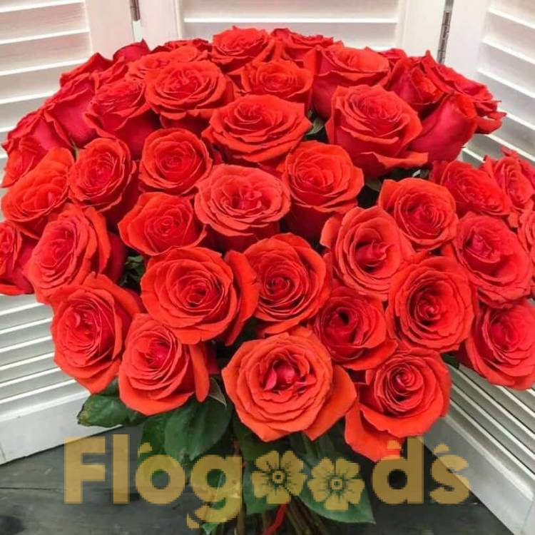 51 красная роза за 19 574 руб.